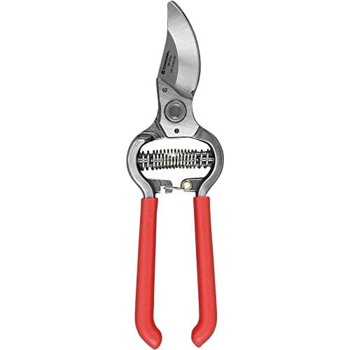 Amazon.com : Corona BP 3180D Forged Classic Bypass Pruner with 1 Inch ...
