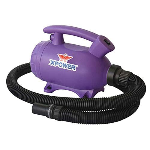 XPOWER B-55 2-in-1 Home Force Air Pet Dryer and Vacuum