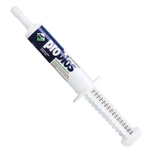 Probios Equine One Oral Gel with Probiotics