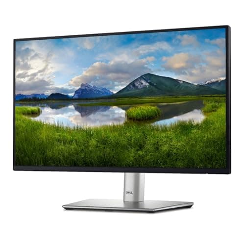 Dell P2424HT