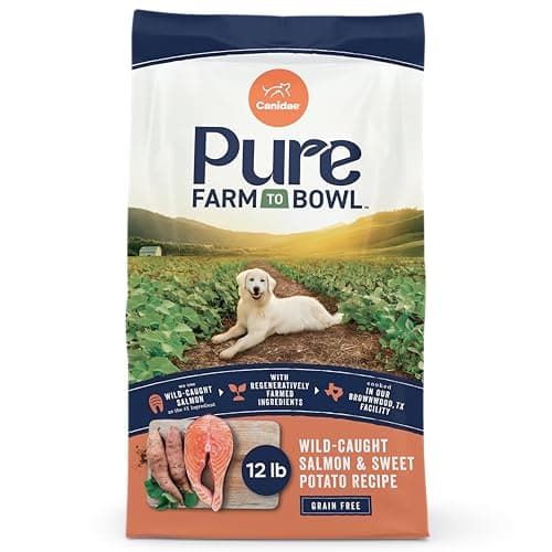 CANIDAE PURE All Stages Grain-Free Limited Ingredient Salmon & Sweet ...