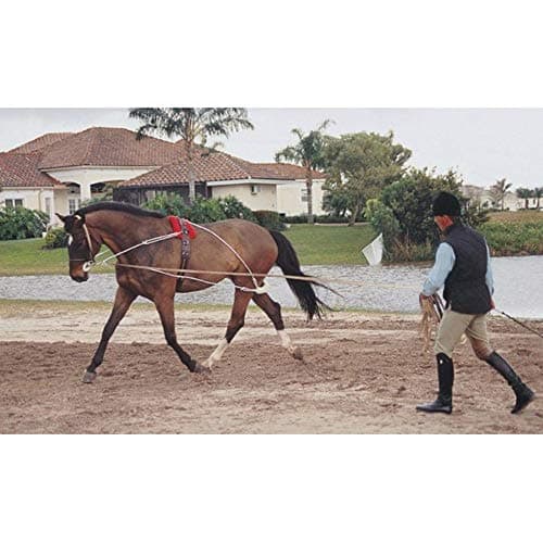 Sistema Pessoa Lunging System