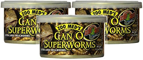 Zoo Med Can O Worms