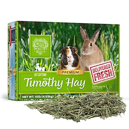 Small Pet Select Guinea Pig Food Pellets, 25-Pound