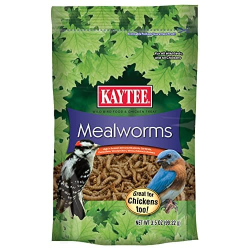 Kaytee® Mealworms Wild Bird Food 17.6 Oz - luckypetshops.com
