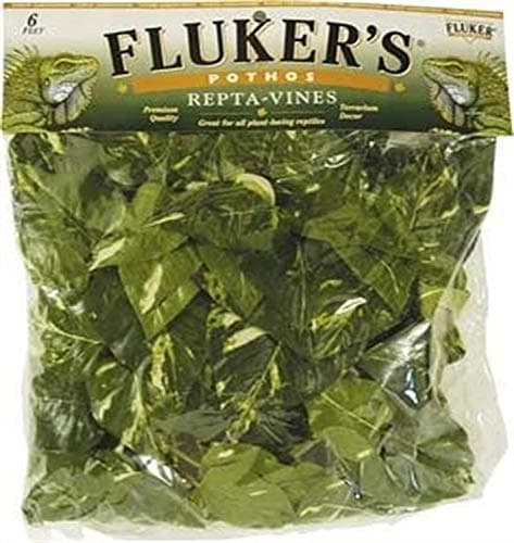 Fluker s Repta-Vines Pothos