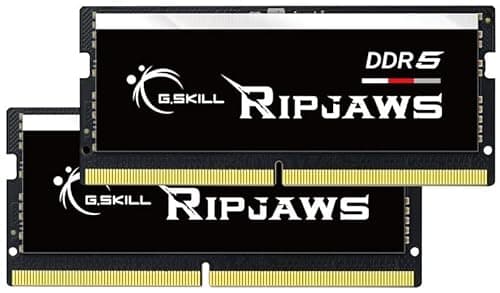 G.SKILL Ripjaws DDR5 SO-DIMM Series DDR5 RAM 32GB (2x16GB) 4800MT/s CL34-34-34-76 1.10V Unbuffered Non-ECC Notebook/Laptop Memory SODIMM (F5-4800S3434A16GA2-RS)