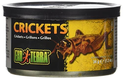 Hagen Exo Terra Canned Crickets