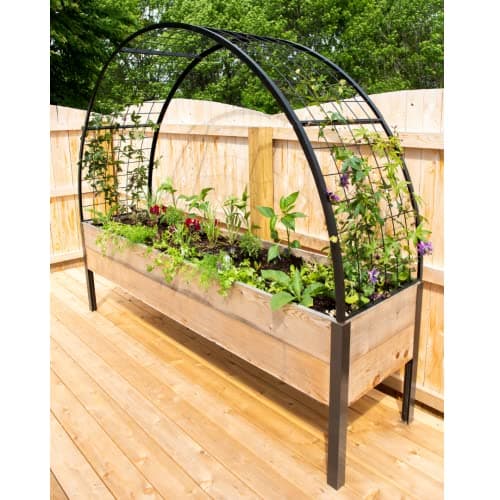 Amazon.com : Gardeners Supply Company Titan Arch Arbor Garden Trellis ...