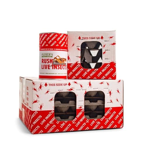Amazon.com : Fluker's Live Crickets, 500 Count Insects for Reptiles ...