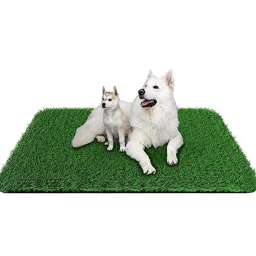 15 UNDER $50: Best Indoor Dog Potties - Hey, Djangles.