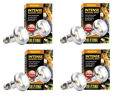 Exo Terra Heat-Glo Infrared Spot Lamp, 100-Watt/120-Volt (4 Pack)