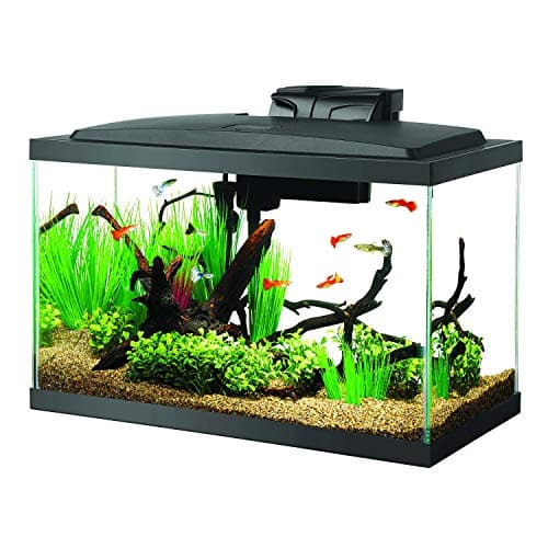 Kit de acuario Aqueon LED de 10 galones