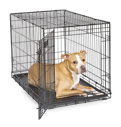 MidWest Homes for Pets iCrate Single Door Folding Dog Crate