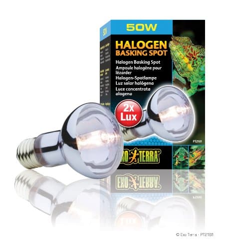 Exo Terra Halogen Basking Spot - 50 W
