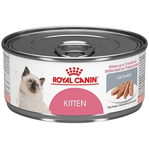 Royal Canin Feline Health Nutrition Kitten Instinctive Loaf in Sauce Canned Cat Food (24 Pack), 5.8 Oz/One Size