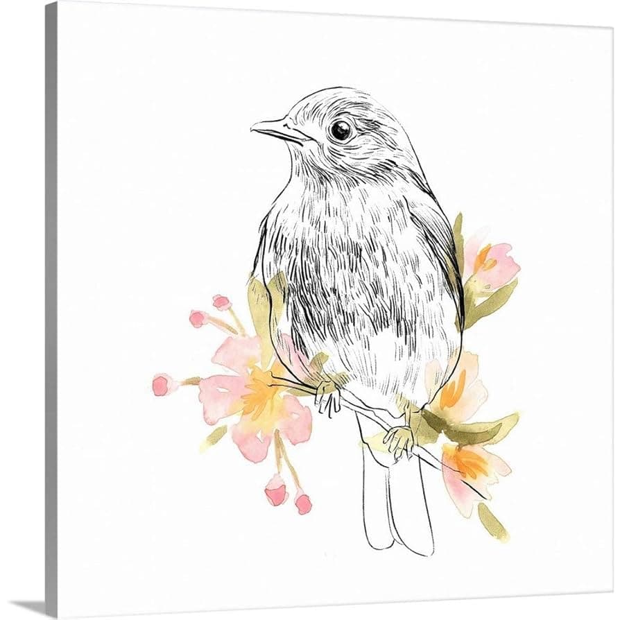 Amazon.com: GREATBIGCANVAS Robin Sketch II Canvas Wall Art Print ...