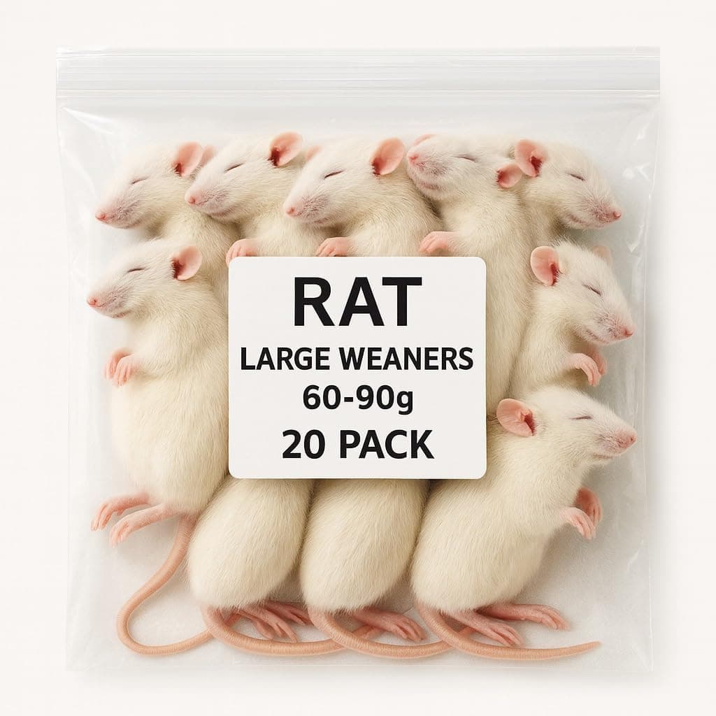 Frozen Large Weaner Rats – 20 Pack (60–90g Each) | Premium Whole Prey ...
