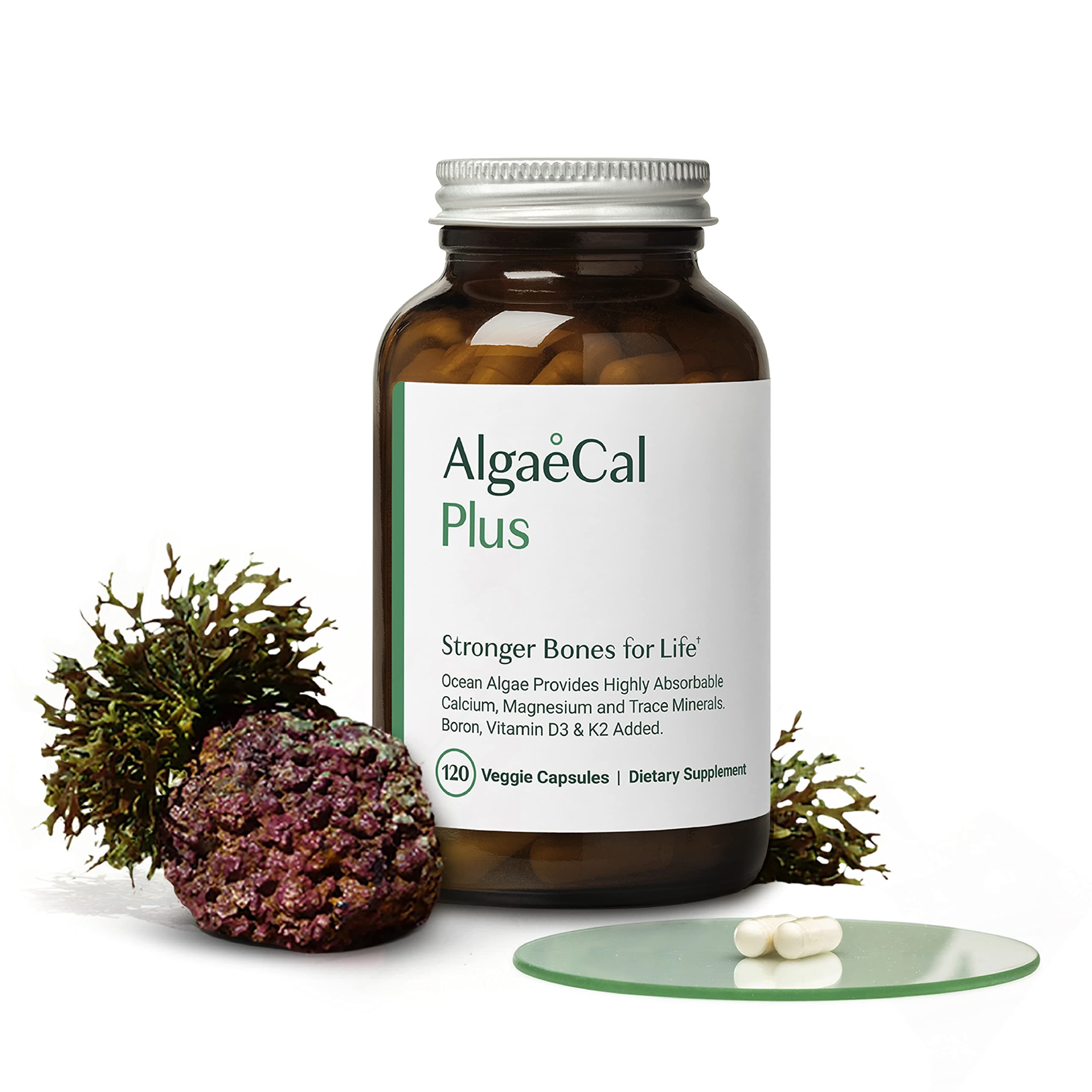 Buy AlgaeCal Plus - Calcium Supplement, Natural Red Algae Plant-Based ...