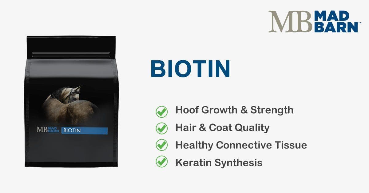 Biotin – Mad Barn Canada