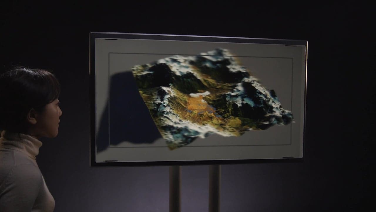 Would Your Org Buy a Looking Glass Factory 8K Holographic Display? - My ...