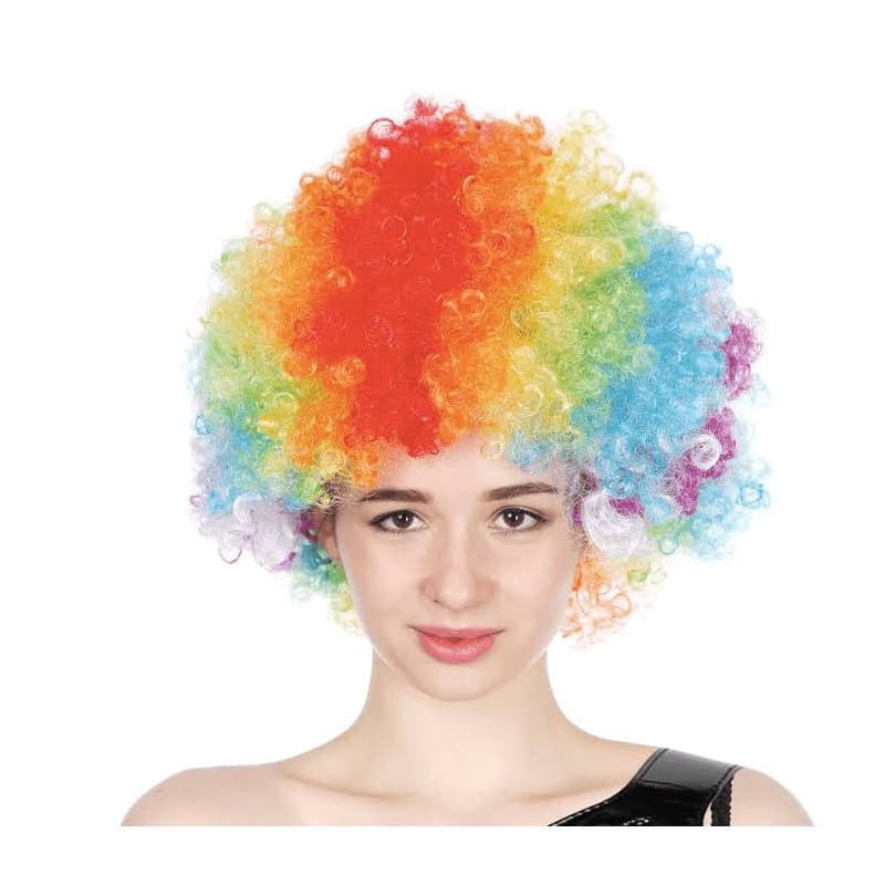 Afro Clown Wig Rainbow