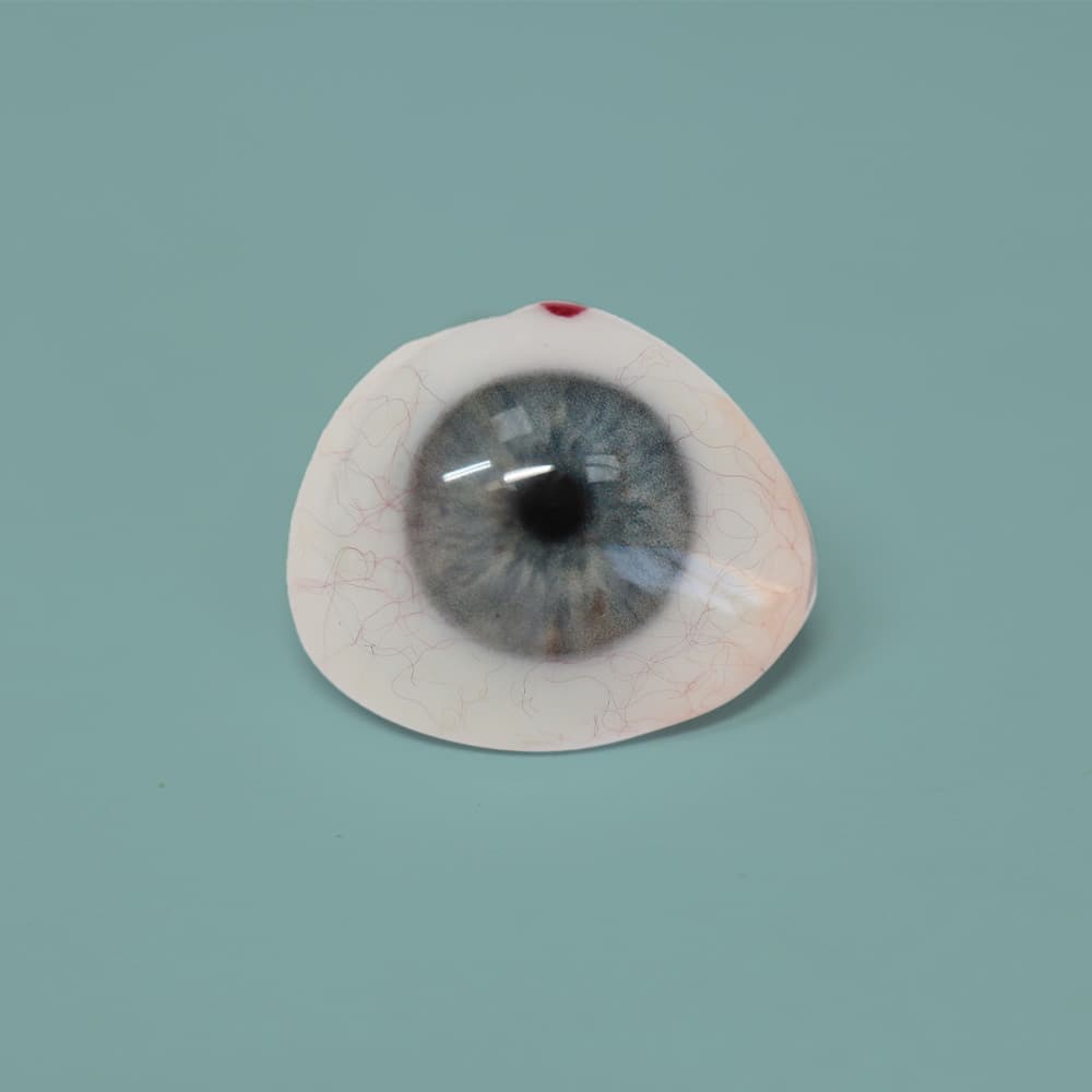 Scleral Shells – Pacific Eye & Facial Prosthetics Clinic