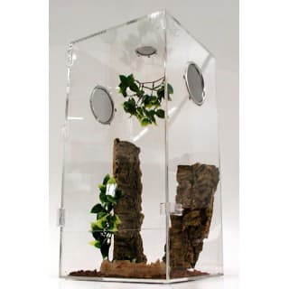 Arboreal Tarantula Enclosure