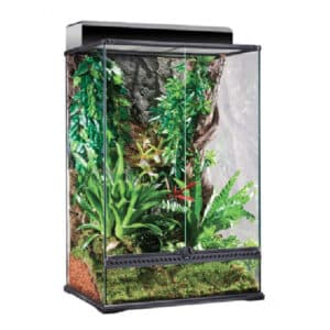 Exo Terra 24x18x36 Terrarium Review in March 2025 - ReptileProfy