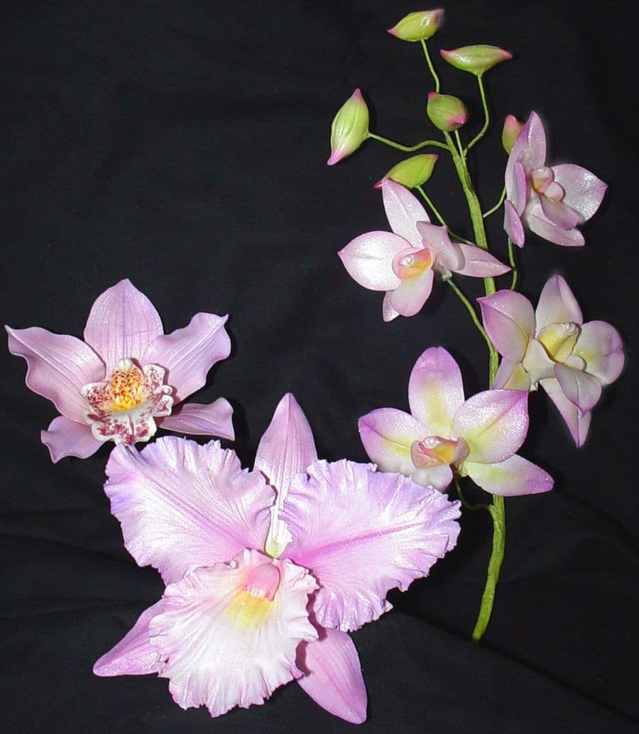Gumpaste Orchids - CakeCentral.com