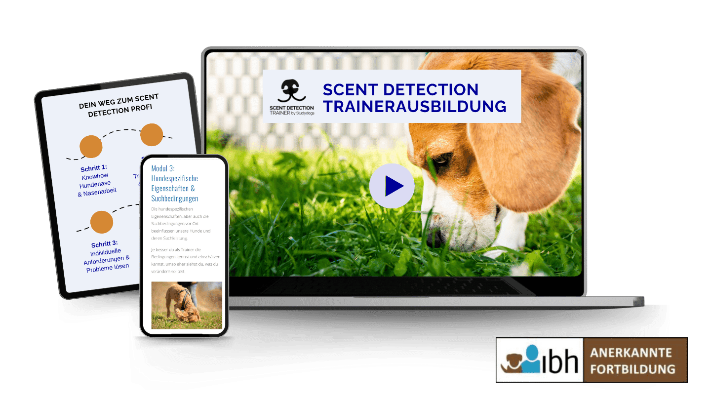 Scent Detection Trainerausbildung | Scent Detection Ausbildung für ...