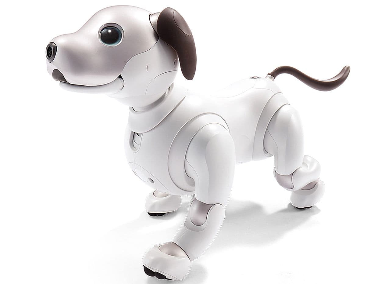 Sony Unleashes New Aibo Robot Dog - IEEE Spectrum