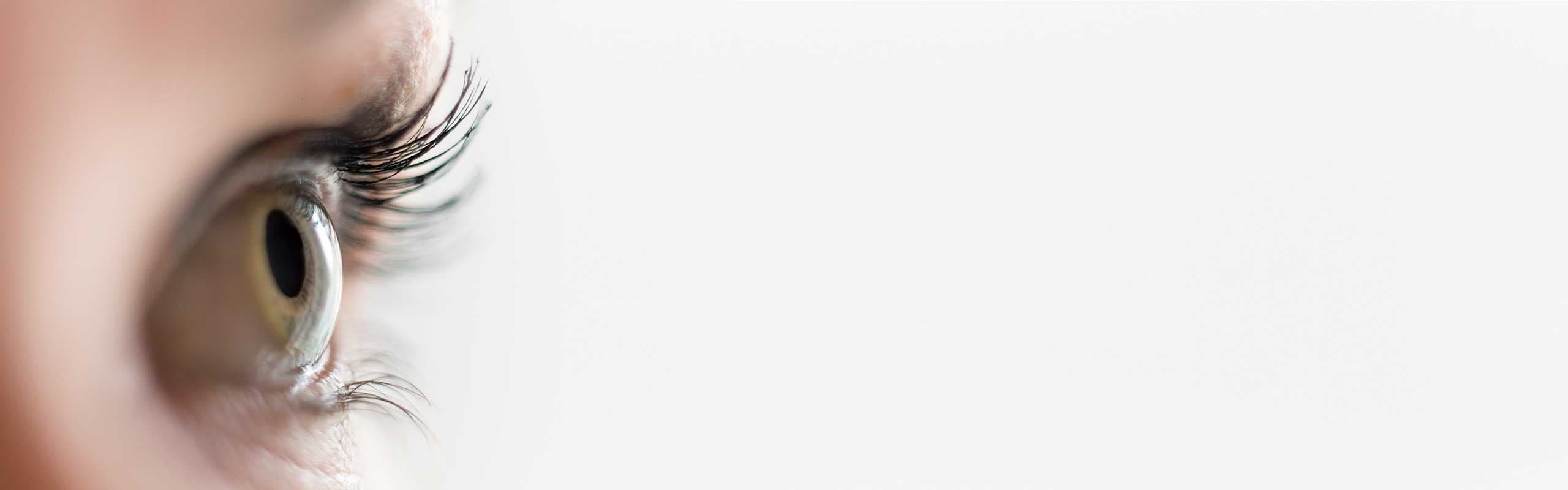 Ocular Prostheses Montréal-Ottawa | Oculariste Marie-France Clermont