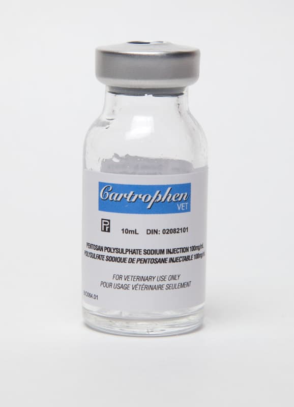 Cartrophen Vet Injection | Cartrophen for 🐶 Dogs | Cartrophen for 🐴 Horses