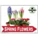 Spring Flowers Yard Signs | Visible Double Sided