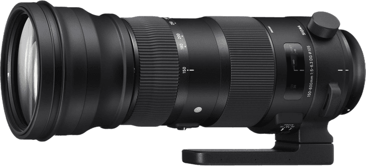 The Best Lens for Sports Photography in 2025 (Top 9 Picks)