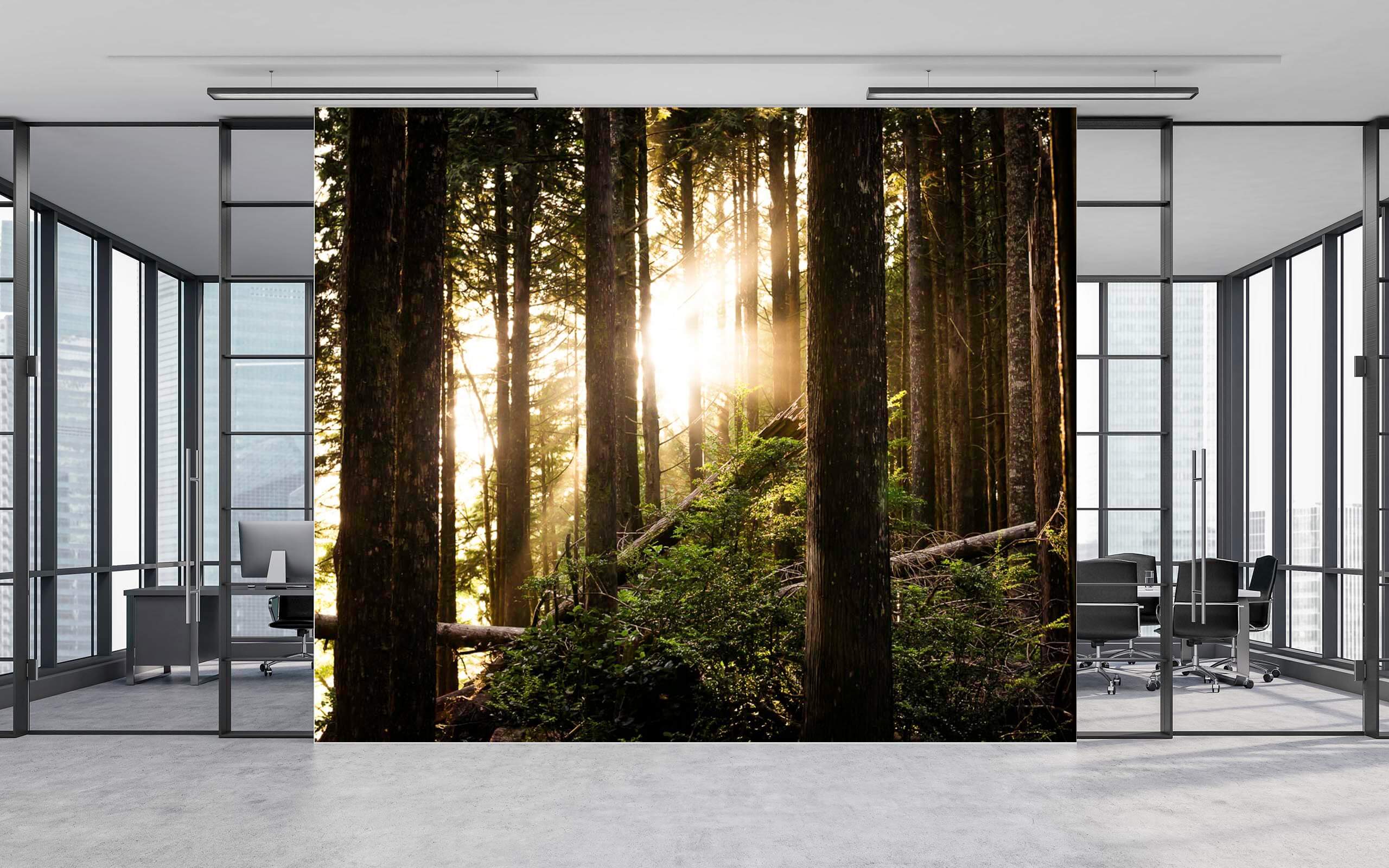 Custom Photo Wall Murals – LIFELIGHTLENS Photography