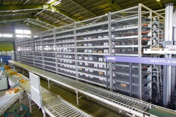 Daifuku North America Holding Company: Shuttle Rack M Miniload AS/RS ...