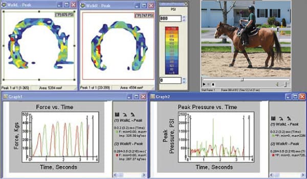 Hoof Pressure Measurement | Hoof System | Tekscan