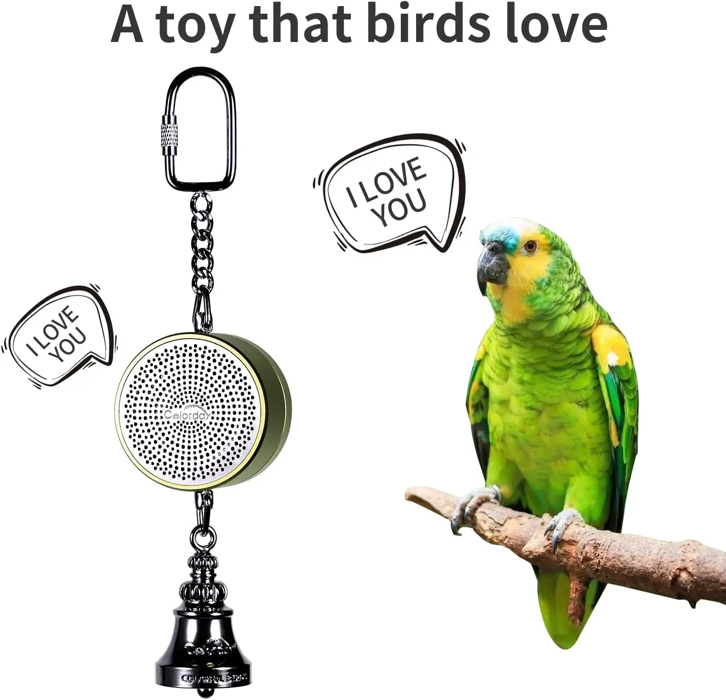 Parrot-Toys-to-Teaching-Training-Bird-Talking-Coach-Interactive ...