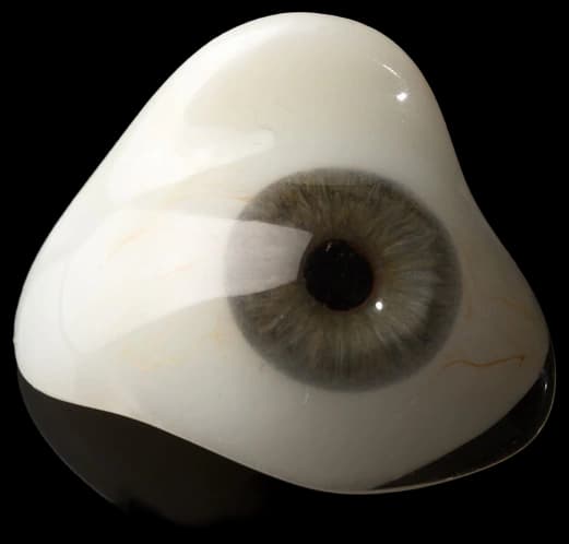 Scleral Shells: A Comprehensive Guide - Eye Concern