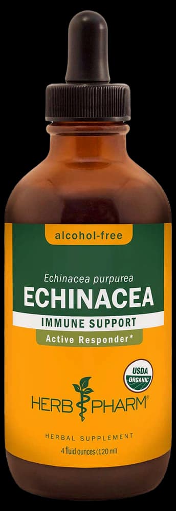 Herb Pharm Echinacea Pallida Liquid Extract