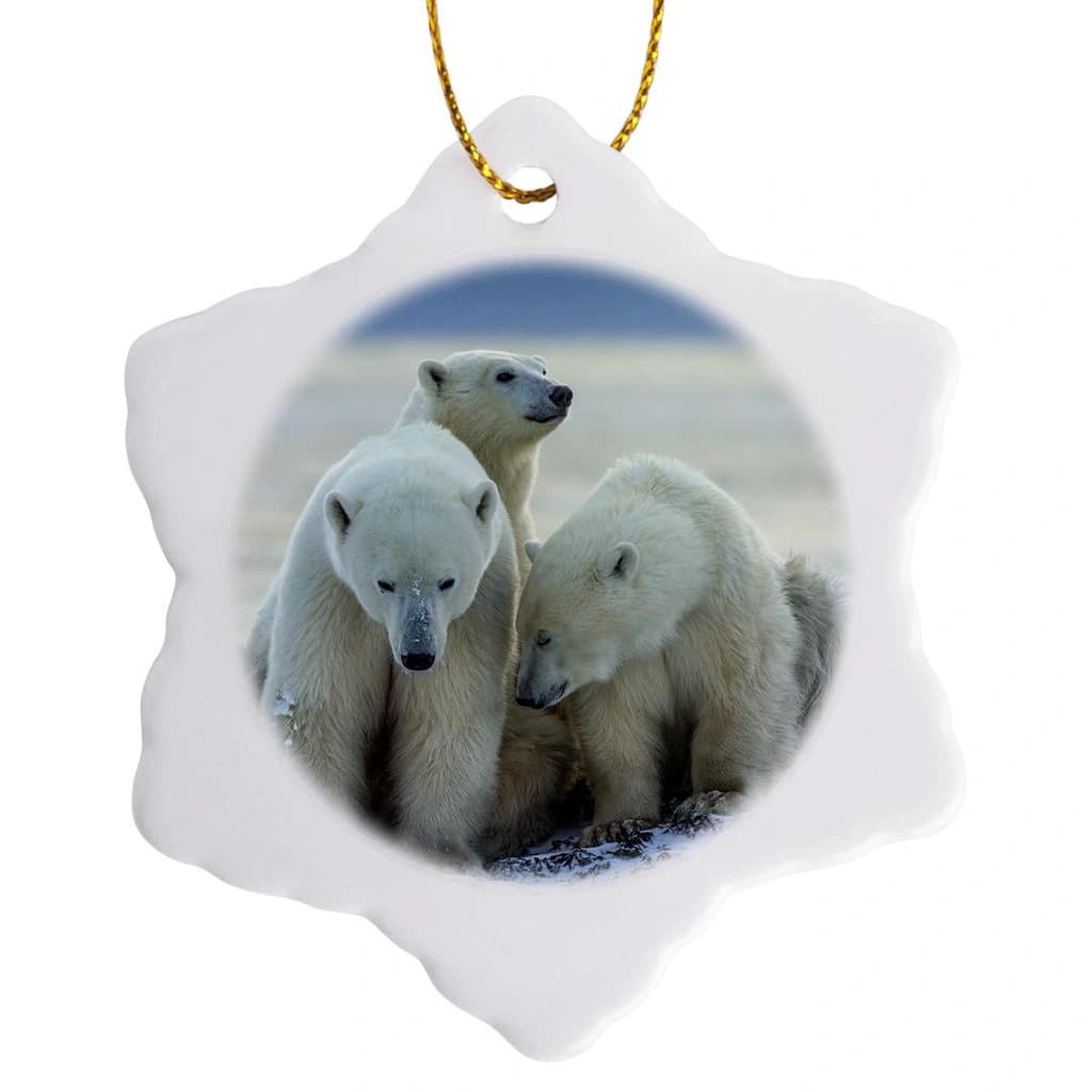 Amazon.com: 3 inch Snowflake Porcelain Ornament - Arctic Fox Hudson Bay ...