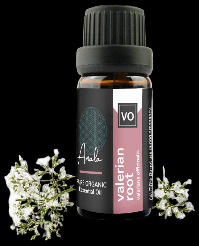 Valerian Root Organic Essential Oil – essentoils.co.za