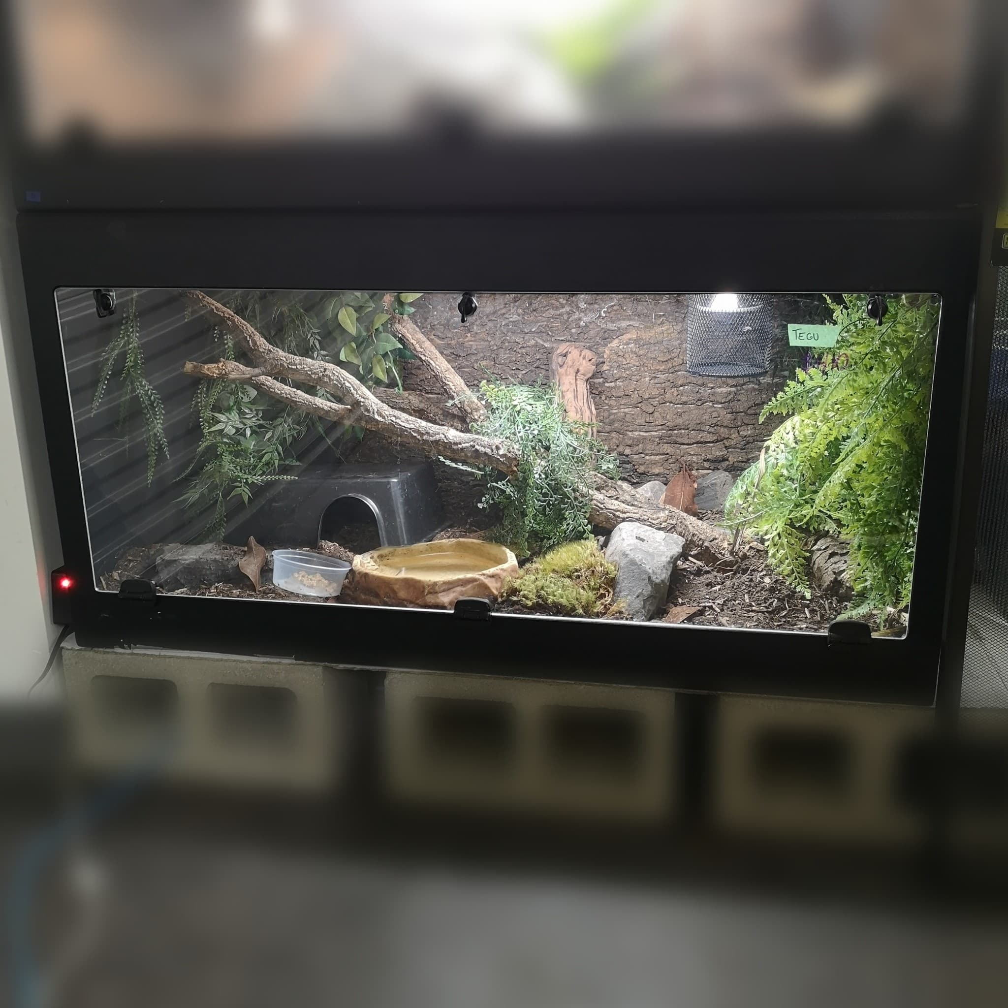 Best Large Acrylic Enclosures Canada 2026 — Top 5 Picks