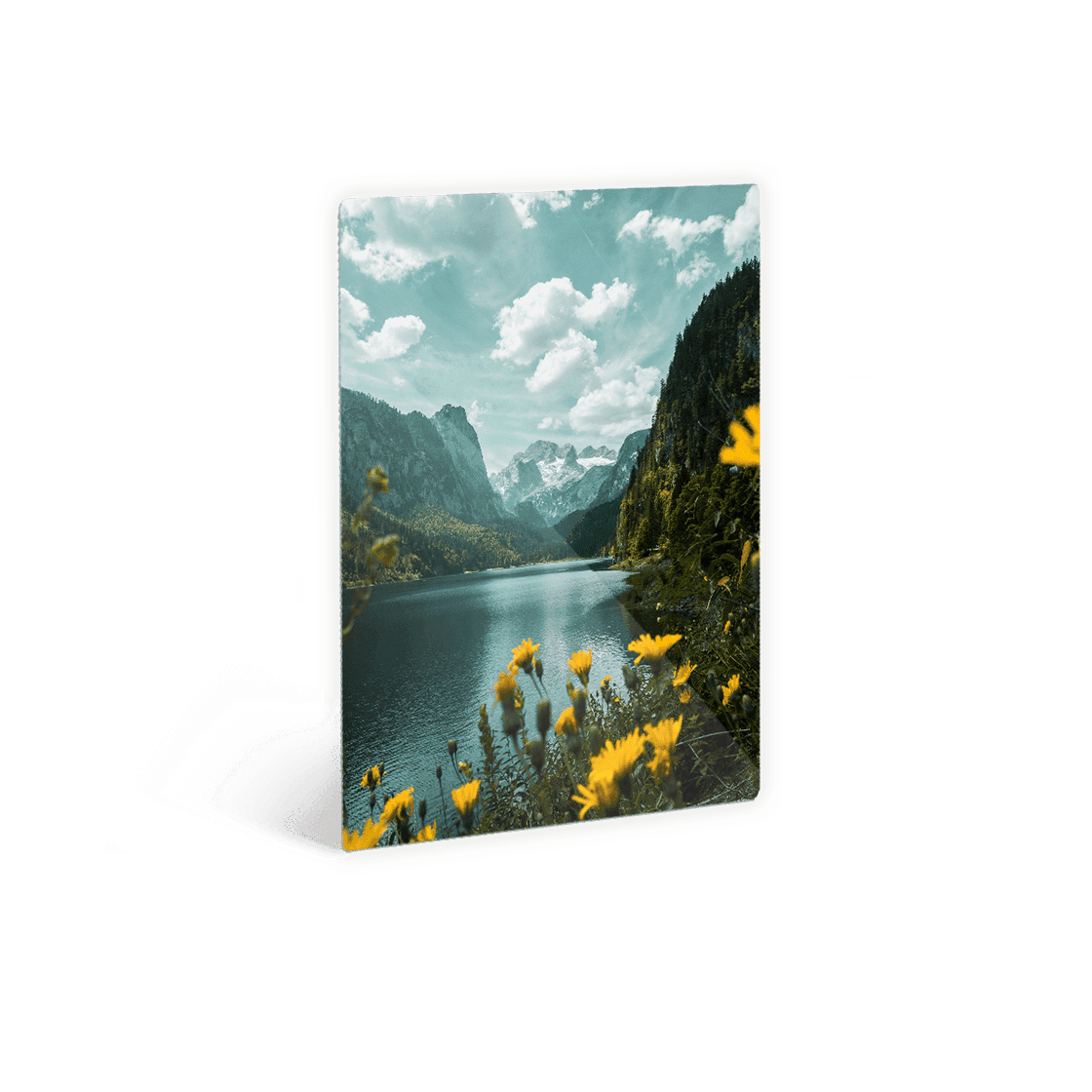 Canvas Photos, Canvas Prints & Custom Photo Canvas Prints | Canvaspop