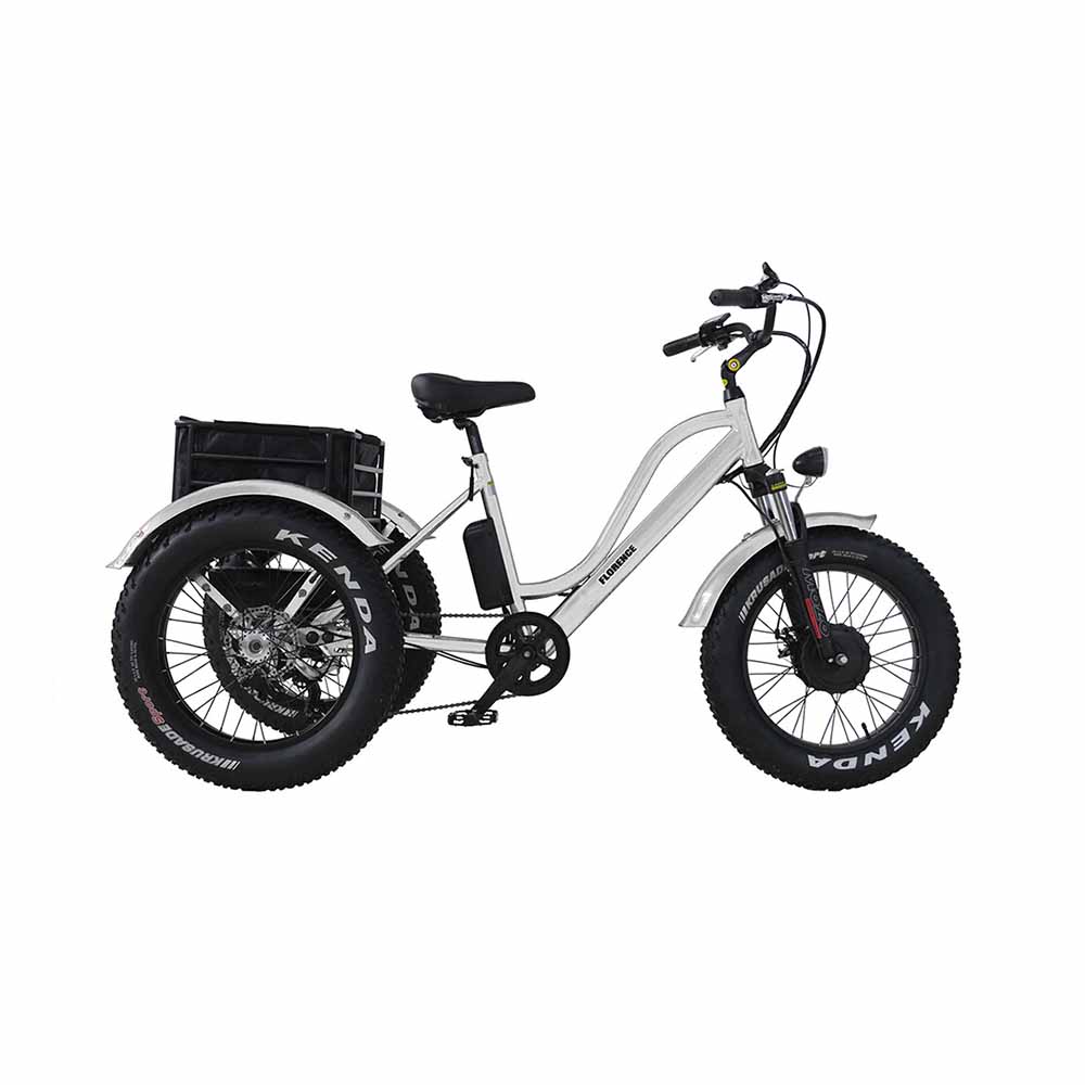 Daymak Florence 48V Electric - Edmonton Bicycles