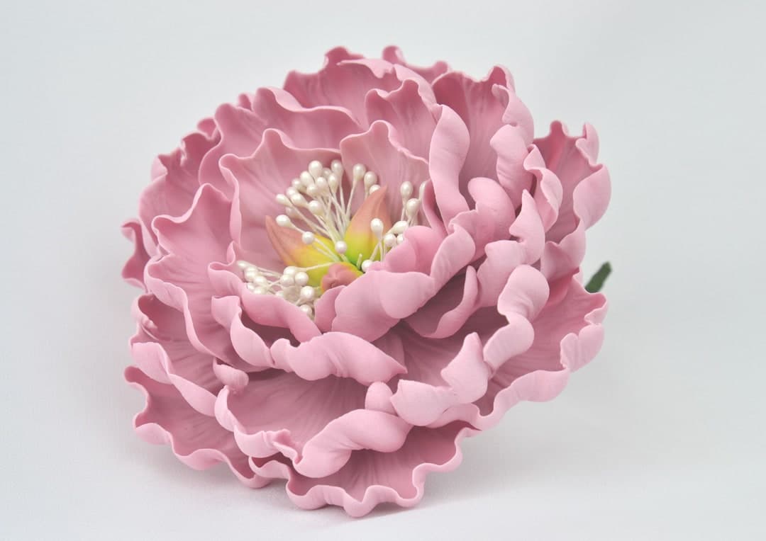 Sugar Open Peony Large 5 " Sugar Paste Handmade, Wedding Edible ...