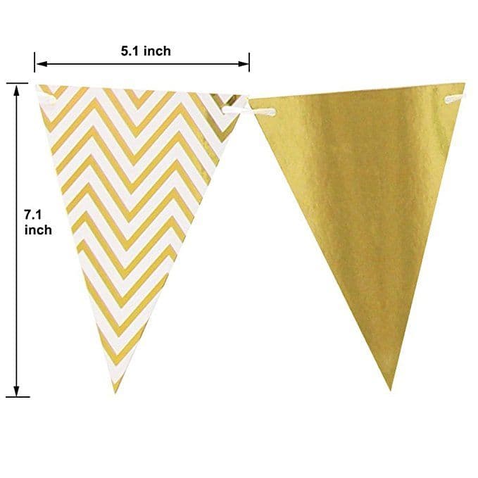 Sparkly Paper Pennant Banner and Tissue Paper Tassels Garland