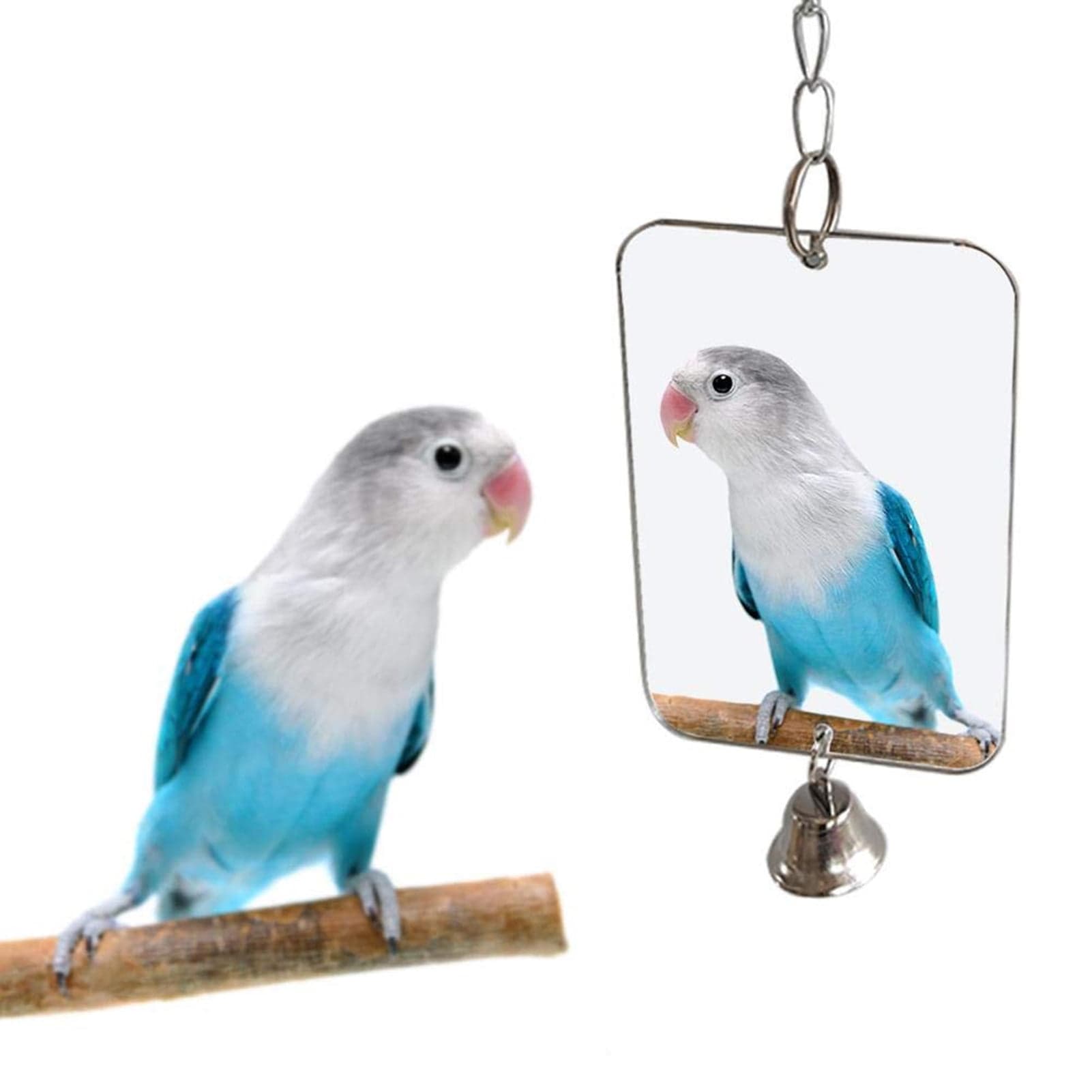 Cheers.US Pet Bird Mirror with Bell Interactive Parrot Toy for Parrot ...